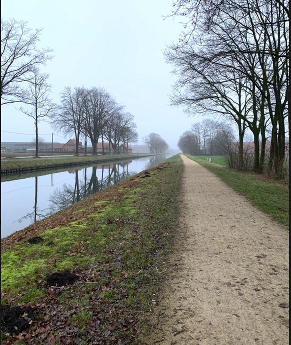 Kolonie Ringwal Oost