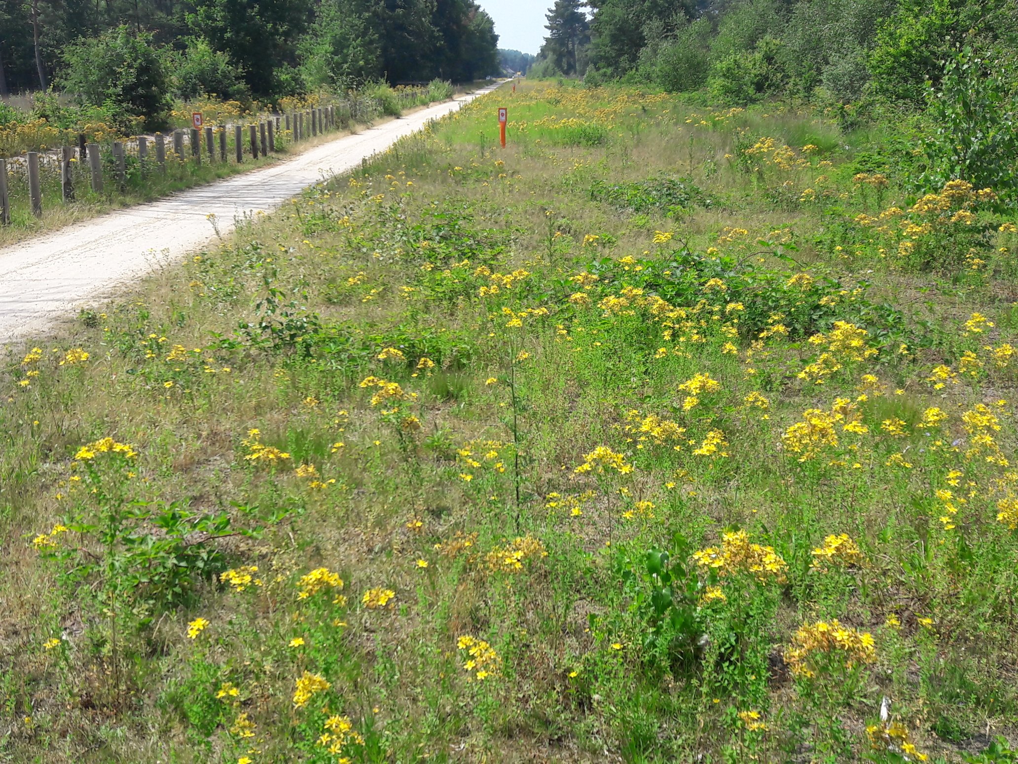 images/omgeving/blakheide104.jpg