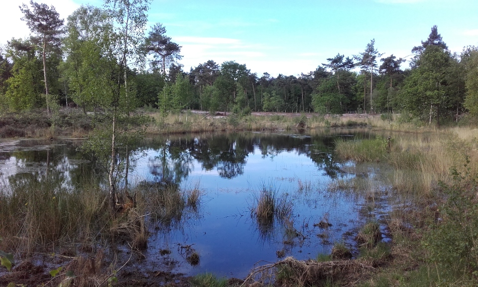 images/omgeving/omg8.jpg