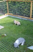 images/tuin/20200913_112023.jpg